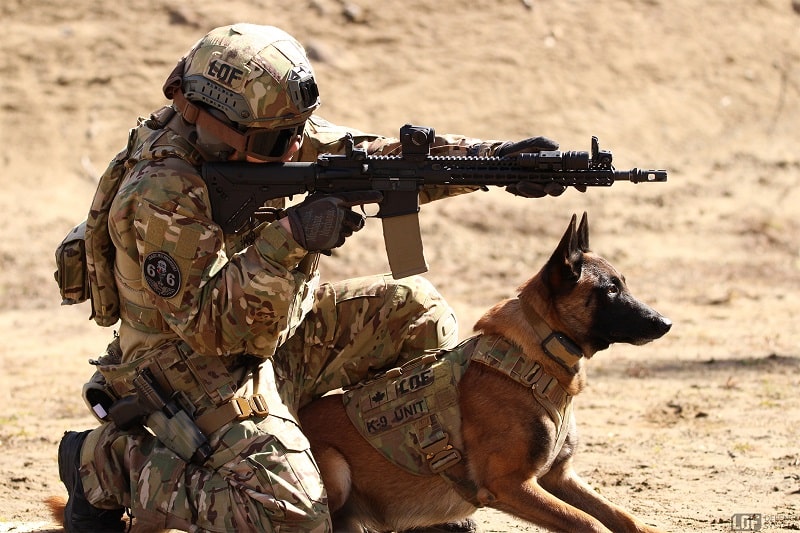 k9-bullet-proof-vests-prioritizing-the-safety-of-our-police-dogs